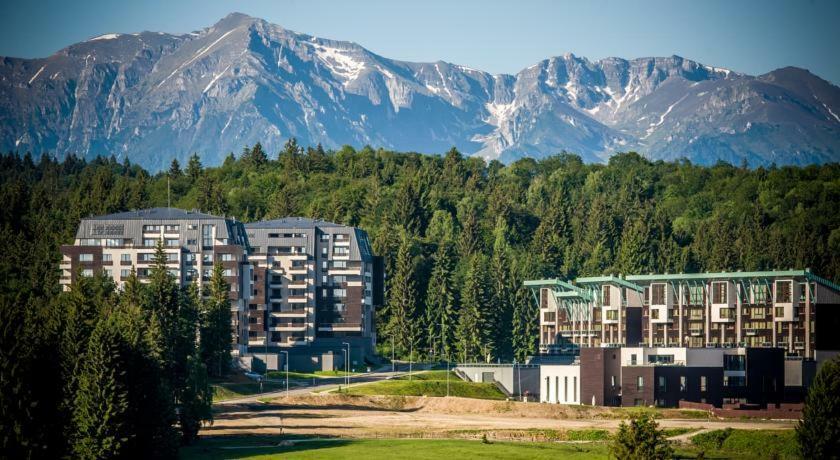 Luxury Mountain Apartment Пояна-Брашов Экстерьер фото