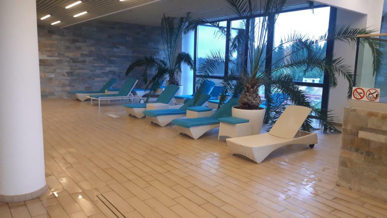 Luxury Mountain Apartment Пояна-Брашов Экстерьер фото